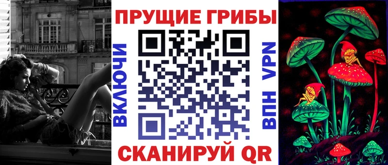 даркнет какой сайт  Западная Двина  Псилоцибиновые грибы Psilocybe 