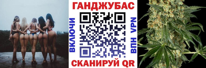 закладки  Западная Двина  Конопля семена 